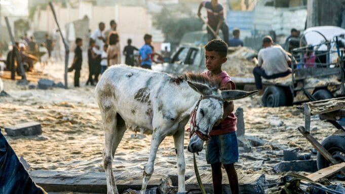 Gaza-DB-250728_1753694557520_hpMain_16x9.jpg