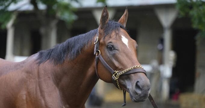 urlhttps3A2F2Fcalifornia-times-brightspot.s3.amazonaws.com2Fe32F832F7b8ab55f4e89ade955d93038ff372Fbelmont-horse-racing-84151.jpg