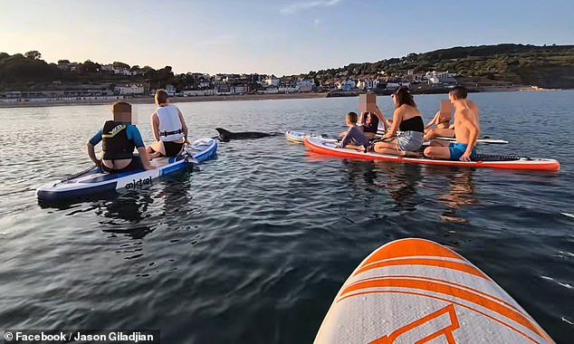101298199-15008265-New_footage_has_emerged_showing_ignorant_tourists_paddling_next_-a-92_1755437283593.jpg