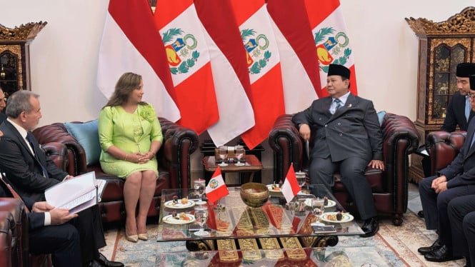 68996bab31f26-pertemuan-presiden-prabowo-dengan-presiden-peru-dina-erlina-boluarte-zegarra_665_374.jpg