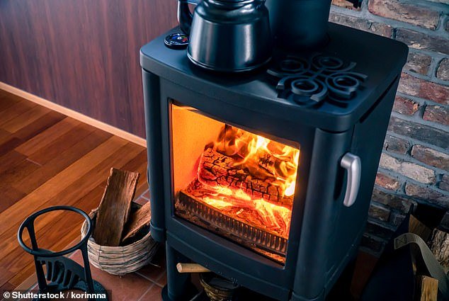 96962637-15215939-Wood_burning_stoves_similar_to_the_one_pictured_above_can_damage-a-1_1761150395483.jpg
