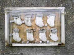 Se ha realizado un descubrimiento espeluznante durante las excavaciones en la Casa de los Horrores de Irlanda, en el lugar de enterramiento de la madre y el bebé, donde se teme que estén enterrados 800 cadáveres.