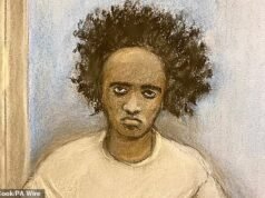 Dos ‘posibles imitadores’ del asesino de Southport arrestados después de que la policía ‘descubriera complots para atacar la escuela de danza y el evento temático de Taylor Swift’