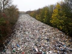 Hombre de 39 años arrestado en relación con la investigación sobre la «más grande punta de mosca jamás vista» en Gran Bretaña en Oxfordshire