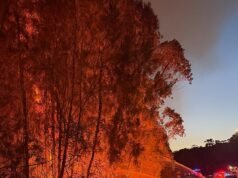 Se emitió una advertencia de incendio forestal para los residentes de la costa sur de Nueva Gales del Sur, ya que se declaró un peligro extremo de incendio en otras partes del estado.