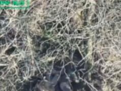 Ucrania tarda sólo 20 minutos en vengarse de Rusia con un ataque con drones tras el disparo de prisioneros de guerra