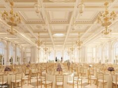 Los demócratas lanzan un grito de batalla a principios de 2028 para demoler la “gran masa” del salón de baile de Trump