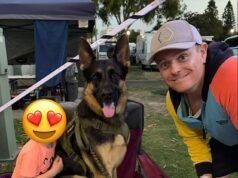 Arnie, el pastor alemán: giro después de que el querido perro de la familia fuera encontrado muerto en ute 10 días después de haber sido denunciado como robado, mientras su DUEÑO fue arrestado