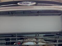 Desplumadora de faisanes: ave silvestre rescatada viva y ilesa 24 horas después de chocar contra la parrilla de un auto