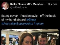 Líder liberal de Nueva Gales del Sur y ex estrella del Canal Nueve recibió un apodo cruel después de que resurgiera una foto jactanciosa