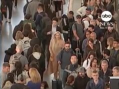 Video Airlines cancela cientos de vuelos debido a recortes de la FAA relacionados con el cierre