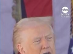 Video Trump honra a los veteranos en el Cementerio Nacional de Arlington