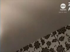 MIRAR: La ‘reina de las criptomonedas’ de China encarcelada por defraudar miles de millones