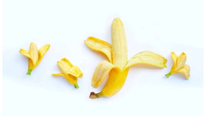 63efbd6e60851-ilustrasi-pisang-sebagai-penis_665_374.jpeg