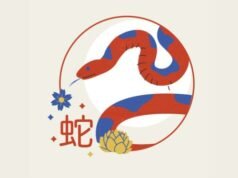 Estos 6 signos del zodíaco obtienen una gran fortuna el 20 de noviembre de 2025, ¡las finanzas de la Serpiente son las que más han mejorado!