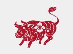 6 signos del zodíaco tendrán mucha suerte el 16 de noviembre de 2025, ¡los bueyes tienen la mayor fortuna!