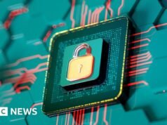 Empresa de cifrado cancela elecciones después de perder la clave de cifrado