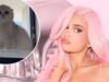Kylie Jenner revela nuevo gatito después de la muerte de su perro Norman