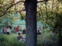 “Las hojas cuelgan temblorosas” encuentra esperanza en la historia de un maestro serbio