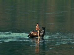 “Silent Flood” enviado por Filmmotor antes del estreno de IDFA