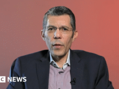 Empresa egipcia busca reducir las facturas de energía