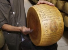 Parmigiano Reggiano estaría buscando oportunidades en cine y televisión
