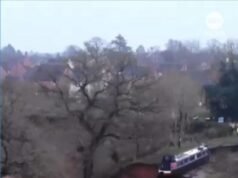 MIRAR: Sinker causa caos en canal del Reino Unido