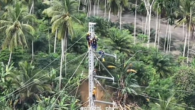 693659df3ffad-viral-video-momen-petugas-pln-dirikan-tower-emergency-listrik-di-bireuen_665_374.jpg