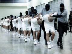 Juez ordena a un destacado abogado del Departamento de Justicia testificar sobre las deportaciones de la Ley de Enemigos Extranjeros