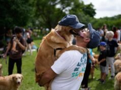 Una sinfonía de fotogramas: 2.397 golden retrievers se reúnen en el Parque Argentina