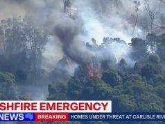 Demasiado tarde para irse: se emite una advertencia urgente a los residentes mientras SIETE grandes incendios forestales arden en Victoria en medio de una abrasadora ola de calor