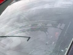 Buscando a los matones que casi matan a su madre y a su hijo tras arrojar un ladrillo al parabrisas de su coche desde un puente