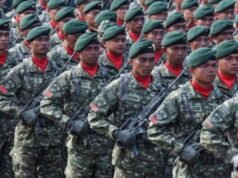 Es necesario estudiar seriamente la implicación del TNI en la lucha contra el terrorismo