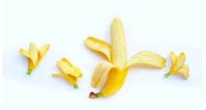 Una serie de problemas en los órganos íntimos masculinos que pueden aparecer con la edad