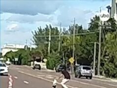 MIRAR: Un hombre salva a dos niños pequeños vistos caminando en medio de una concurrida carretera de Florida