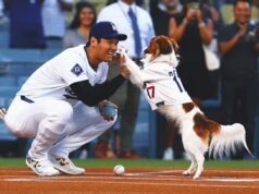 La superestrella de los Dodgers, Shohei Ohtani, escribe un libro para niños sobre su perro señuelo