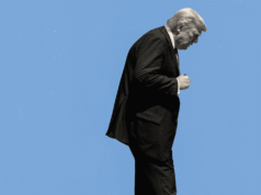 El fiasco de Trump en Groenlandia | El neoyorquino