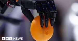 Tome el control: las empresas de robótica luchan por desarrollar sus manos