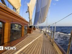 La industria náutica busca alternativas a la teca