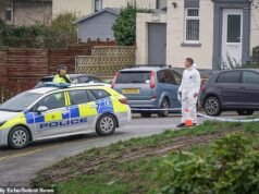 La policía inicia una investigación por asesinato después de que un hombre de unos 40 años fuera asesinado a tiros en su casa en Southampton: arrestado un hombre de 31 años