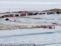 Mujer de Cape Cod murió atrapada bajo el hielo después de que ella y su esposo sacaran a pasear a su perro por un río helado