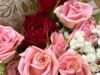 Los compradores están «decepcionados» porque sus flores marchitas del Día de San Valentín parecen «medio muertas»
