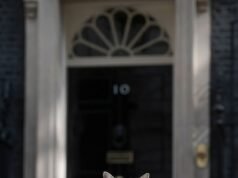 ¡Larry the Cat celebra 15 años en el número 10! El jefe ratón, de 19 años, cumple un año más como el mejor felino de Downing Street.