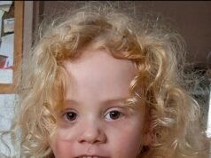 La búsqueda de Gus Lamont se intensifica mientras perros cadáveres deambulan por un tanque de agua y un inodoro recién cementado cerca de la estación de tren de Oak Park.