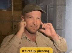 Los australianos están indignados por un dispositivo que hace un ruido irritante en un puente de Perth y la «repugnante» razón por la que fue instalado