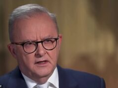 Anthony Albanese criticado por sus comentarios sobre inmigración, mientras los australianos exigen grandes cambios: «Tenemos controles estrictos»