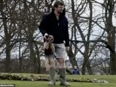 El líder del consejo filmó a una mascota «rasgándose» frente a los niños en el parque