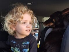 Los desconsolados padres del desaparecido Gus Lamont finalmente rompen su silencio para buscar ayuda, mientras surgen nuevas fotos del adorable niño de cuatro años.