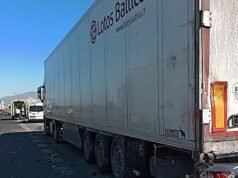 Una madre británica de 42 años muere delante de su familia después de que una furgoneta con un quitanieves chocara contra la parte trasera de un camión en una carretera española.