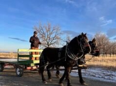 Granjero excluido de McDonald’s después de utilizar el servicio de autoservicio para caballos y carretas
